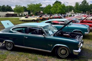 Collector Car Investment