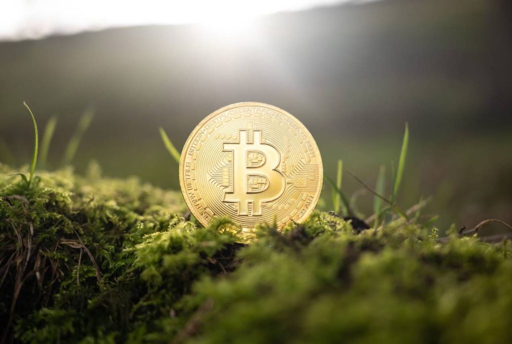 Alternative Asset Investing in 2025: Lessons from Bitcoin’s $125,000 Rally